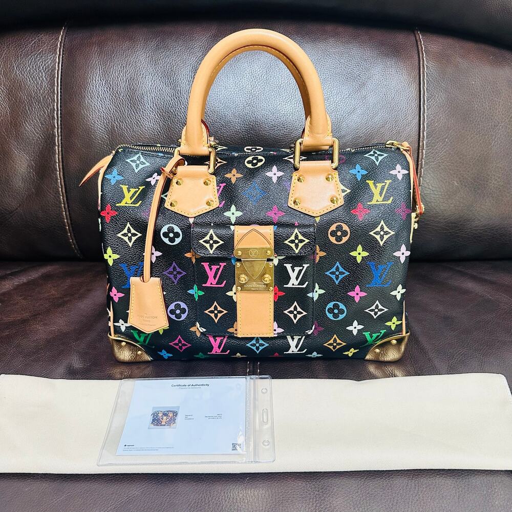 Louis Vuitton Multicolor Speedy 30